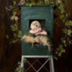 Meet your Posher, Angel